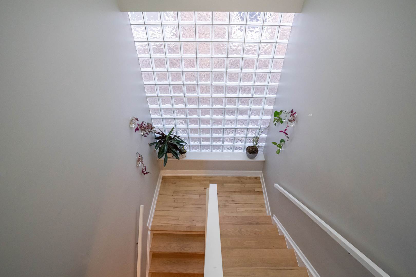 817 N Winchester Avenue 3