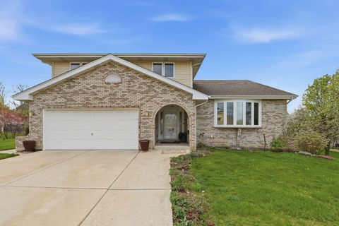 Photo of 8920 Emerald Court, Hickory Hills, IL 60457 (MLS # 12625570)