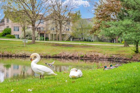 Tiny photo for 2410 Wendover Place, Champaign, IL 61822 (MLS # 12554610)