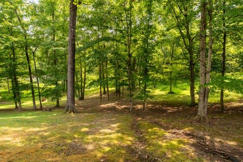 Tiny photo for 128 Starlight Lane, Carbondale, IL 62902 (MLS # 12733105)