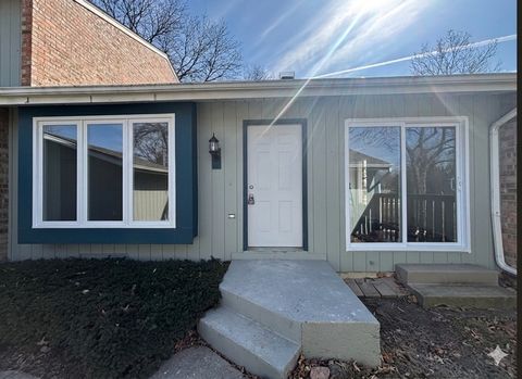 247 Driftwood Lane Bloomingdale IL 60108