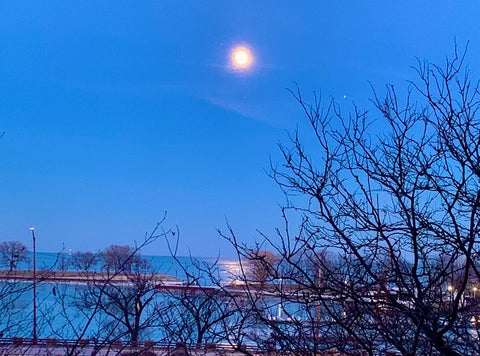 Tiny photo for 3180 N Lake Shore Drive #4G, Chicago, IL 60657 (MLS # 12700537)
