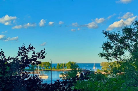 Tiny photo for 3180 N Lake Shore Drive #4G, Chicago, IL 60657 (MLS # 12700537)