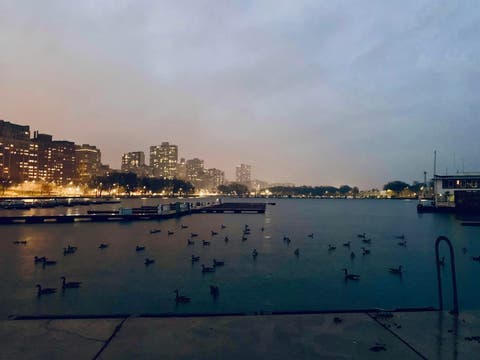 Tiny photo for 3180 N Lake Shore Drive #4G, Chicago, IL 60657 (MLS # 12700537)