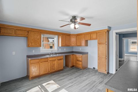 Tiny photo for 1416 17TH Avenue, Moline, IL 61265 (MLS # QC4269809)