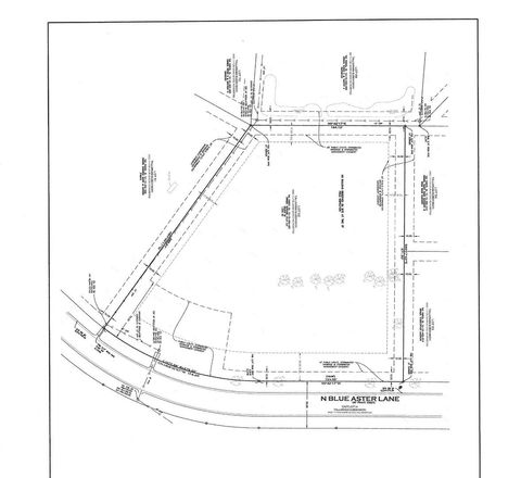 24659 N Blue Aster Lane Lake Barrington IL 60010