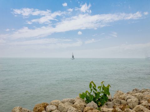 Tiny photo for 6171 N Sheridan Road #1803, Chicago, IL 60660 (MLS # 12391247)