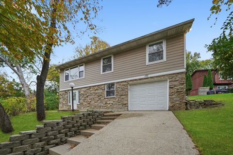 Photo of 171 LAKESHORE Drive, Carpentersville, IL 60110 (MLS # 12502320)