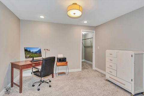 Tiny photo for 376 Eagles Landing Drive, Manteno, IL 60950 (MLS # 12487928)