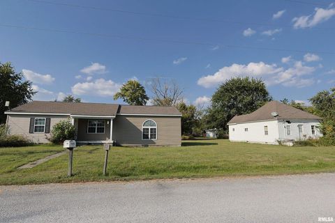 Tiny photo for 290 W 3RD Street, Bonnie, IL 62816 (MLS # EB459924)