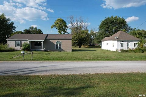 Tiny photo for 290 W 3RD Street, Bonnie, IL 62816 (MLS # EB459924)