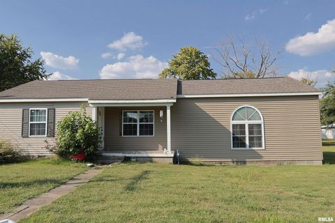 Tiny photo for 290 W 3RD Street, Bonnie, IL 62816 (MLS # EB459924)