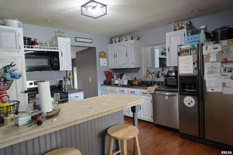 Tiny photo for 290 W 3RD Street, Bonnie, IL 62816 (MLS # EB459924)