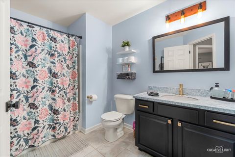 Tiny photo for 507 Cahokia Street, Joliet, IL 60431 (MLS # 12520212)