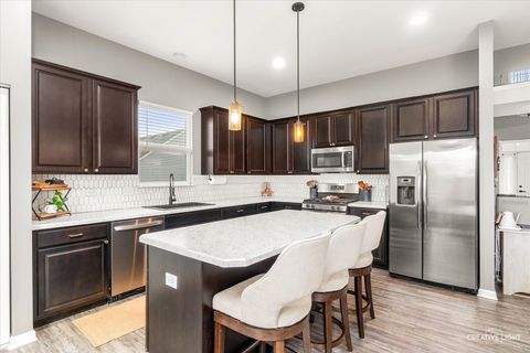 Tiny photo for 507 Cahokia Street, Joliet, IL 60431 (MLS # 12520212)