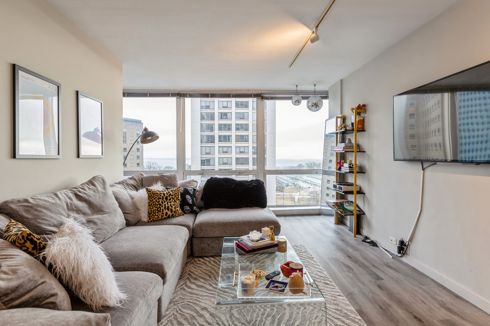 330 W Diversey Parkway 1209