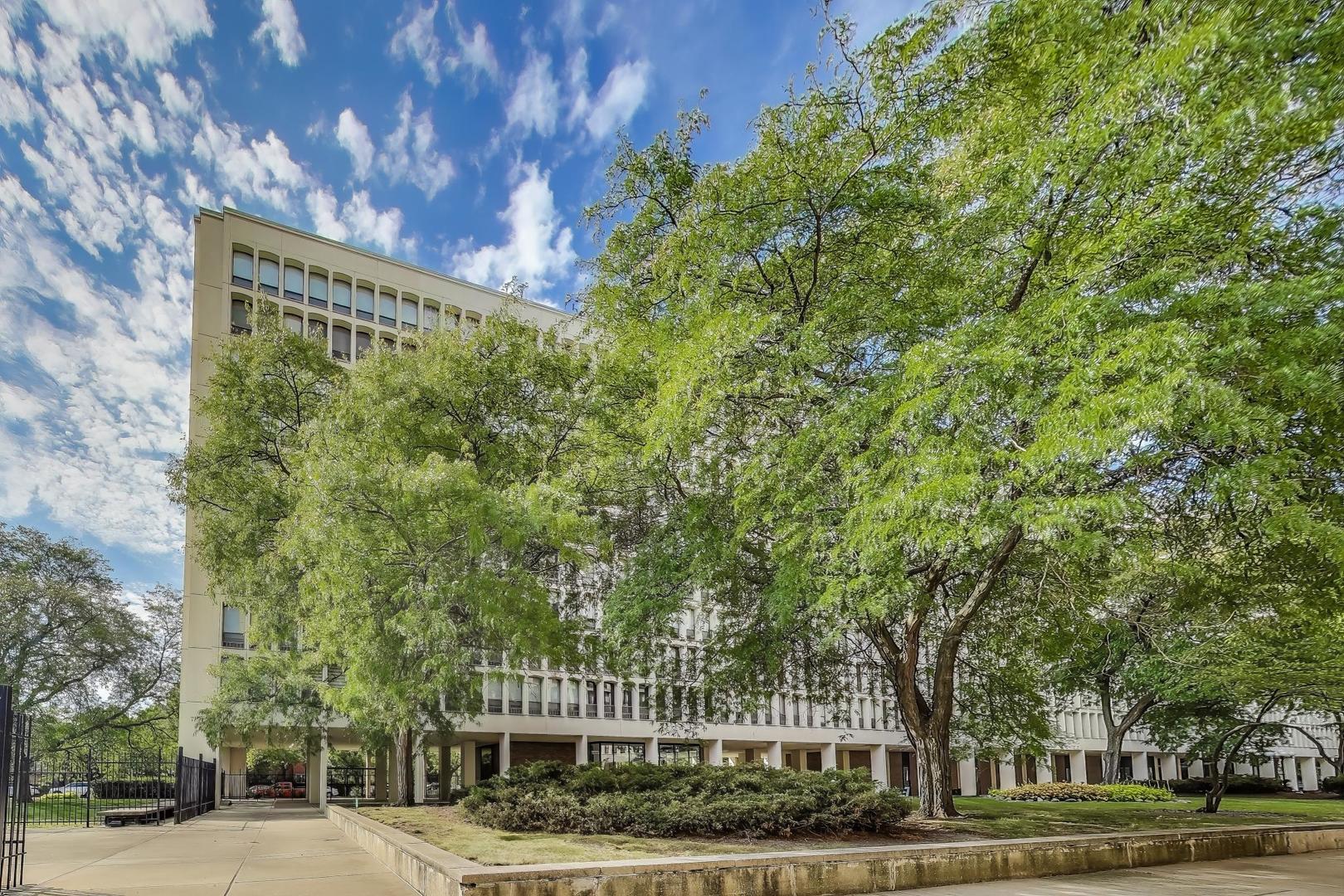 1401 E 55th Street 602N