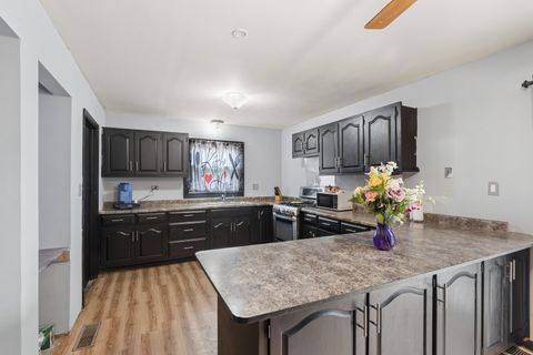 Tiny photo for 18 Mckinley Street, Lake In The Hills, IL 60156 (MLS # 12609477)