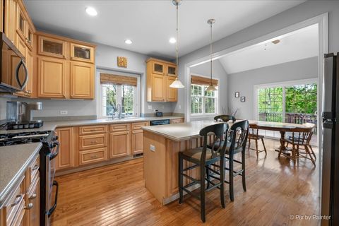 Tiny photo for 524 Tower Place, Fox River Grove, IL 60021 (MLS # 12633524)