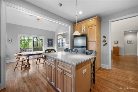 Tiny photo for 524 Tower Place, Fox River Grove, IL 60021 (MLS # 12633524)