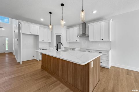 Tiny photo for 1360 Heights Court, Bettendorf, IA 52722 (MLS # QC4266200)