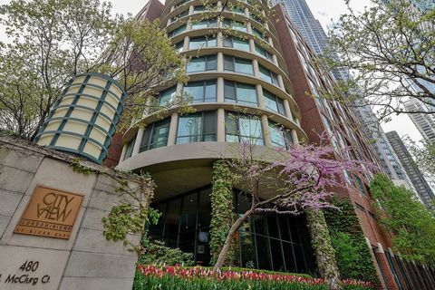 Photo of 480 N McClurg Court #1219, Chicago, IL 60611 (MLS # 12515631)