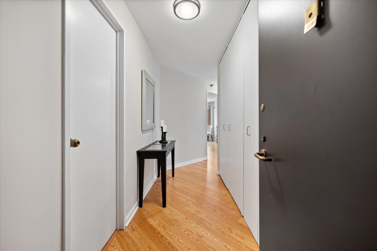 480 N McClurg Court 1219