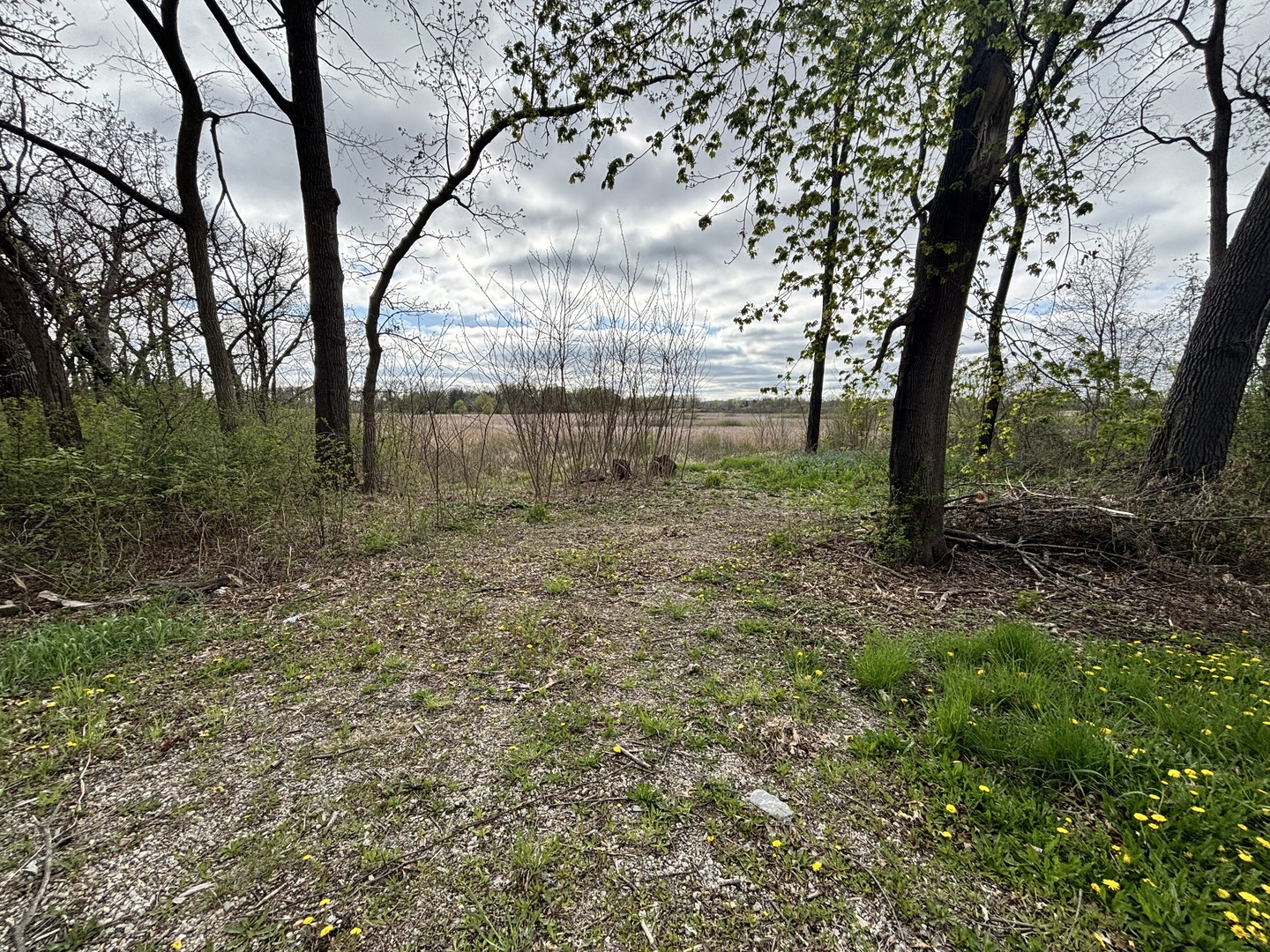 41092 N Deep Lake Road