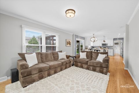 Tiny photo for 906 Sumter Court, Naperville, IL 60540 (MLS # 12568048)