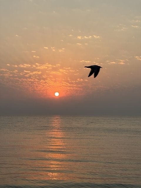 Tiny photo for Chicago, IL 60660 (MLS # 12492521)