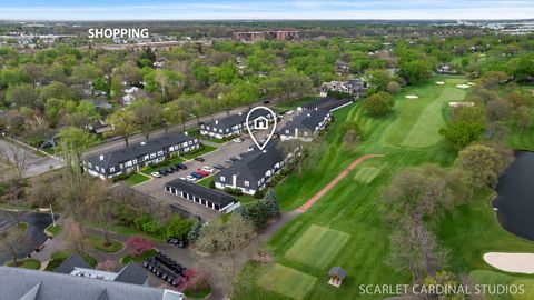 Tiny photo for 1133 Royal St George Drive #107, Naperville, IL 60563 (MLS # 12626820)