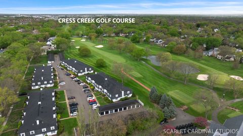 Tiny photo for 1133 Royal St George Drive #107, Naperville, IL 60563 (MLS # 12626820)