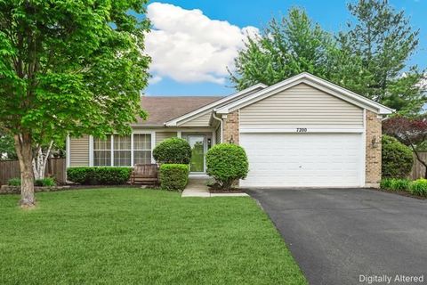 Photo of 7200 Courtwright Court, Plainfield, IL 60586 (MLS # 12642768)