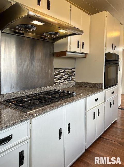 Tiny photo for 702 W CHERRY Street, Carbondale, IL 62901 (MLS # EB460747)