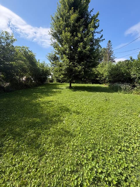 Tiny photo for 8130 45th Place, Lyons, IL 60534 (MLS # 12708113)