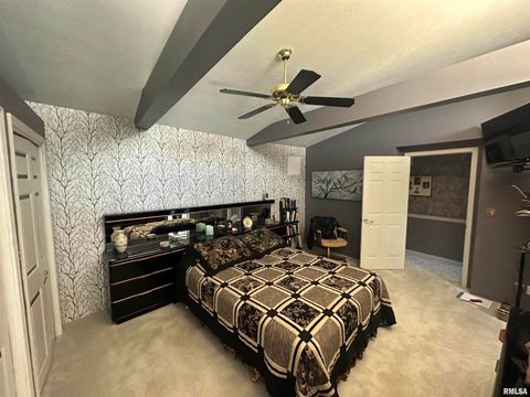 Tiny photo for 2381 LOGAN Street, Murphysboro, IL 62966 (MLS # EB459660)