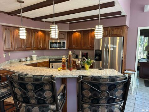 Tiny photo for 2381 LOGAN Street, Murphysboro, IL 62966 (MLS # EB459660)