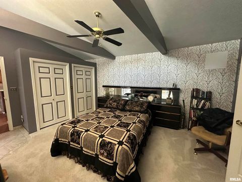 Tiny photo for 2381 LOGAN Street, Murphysboro, IL 62966 (MLS # EB459660)