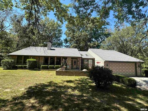 Photo of 2381 LOGAN Street, Murphysboro, IL 62966 (MLS # EB459660)