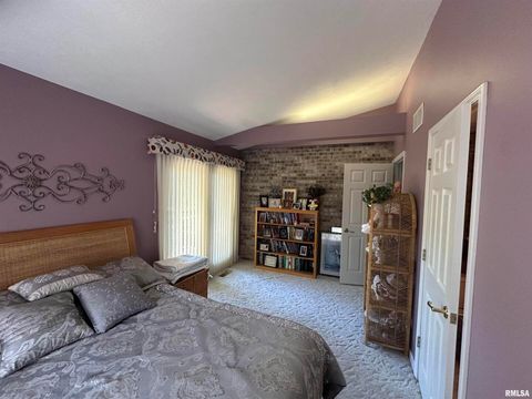 Tiny photo for 2381 LOGAN Street, Murphysboro, IL 62966 (MLS # EB459660)