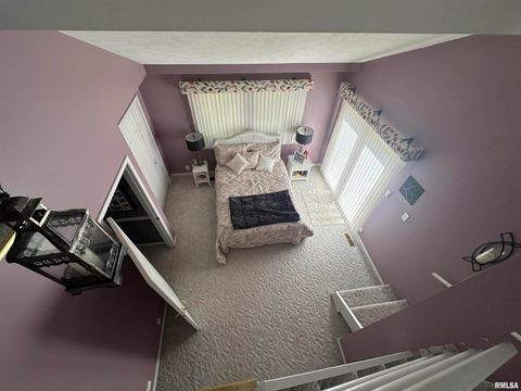 Tiny photo for 2381 LOGAN Street, Murphysboro, IL 62966 (MLS # EB459660)