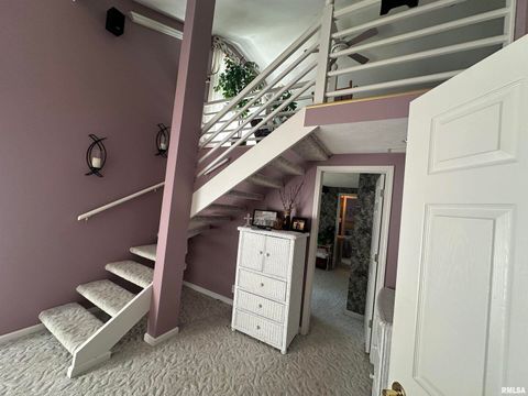 Tiny photo for 2381 LOGAN Street, Murphysboro, IL 62966 (MLS # EB459660)