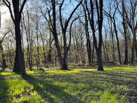 Tiny photo for 9910 207th Street, Illinois City, IL 61259 (MLS # 12760247)