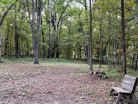 Tiny photo for 9910 207th Street, Illinois City, IL 61259 (MLS # 12760247)