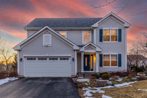 Photo of 8065 Vail Court, Long Grove, IL 60047 (MLS # 12569658)