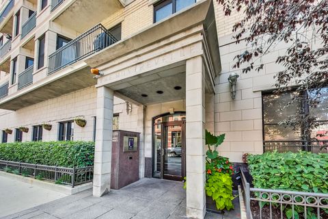 520 N Halsted Street 318 Chicago IL 60642