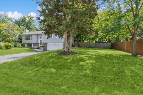 Tiny photo for 24331 Davids Court, Naperville, IL 60564 (MLS # 12479094)