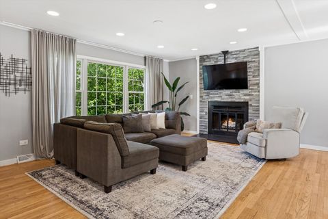Tiny photo for 24331 Davids Court, Naperville, IL 60564 (MLS # 12479094)