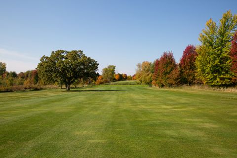 Tiny photo for Woodstock, IL 60098 (MLS # 12584038)