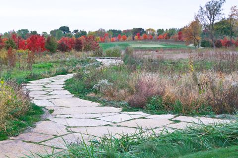 Tiny photo for Woodstock, IL 60098 (MLS # 12584038)